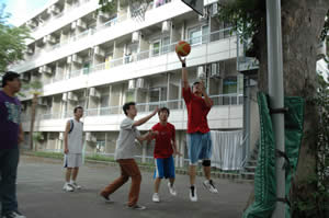 Basket Court