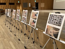 Exhibition of poster board regarding kendama