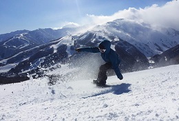 Surfing on ice