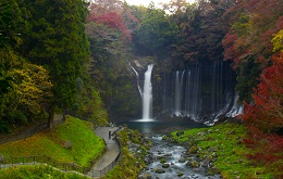 White waterfall with green and red foliage