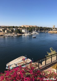 "The Beauty of the Nile"
