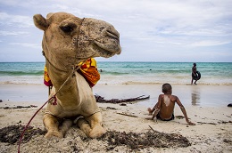 "Mombasa Beach"