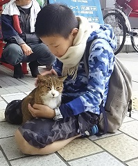 cat and child