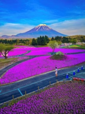 Mt,fuji