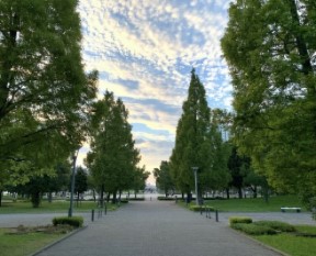 Trees