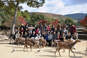 奈良への校外学習の写真