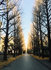 太陽を追いかける