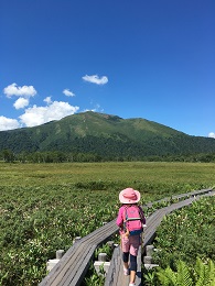 夏の思い出