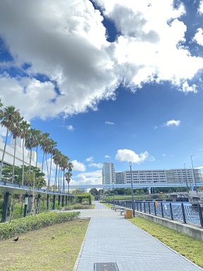 青空と東京国際交流館